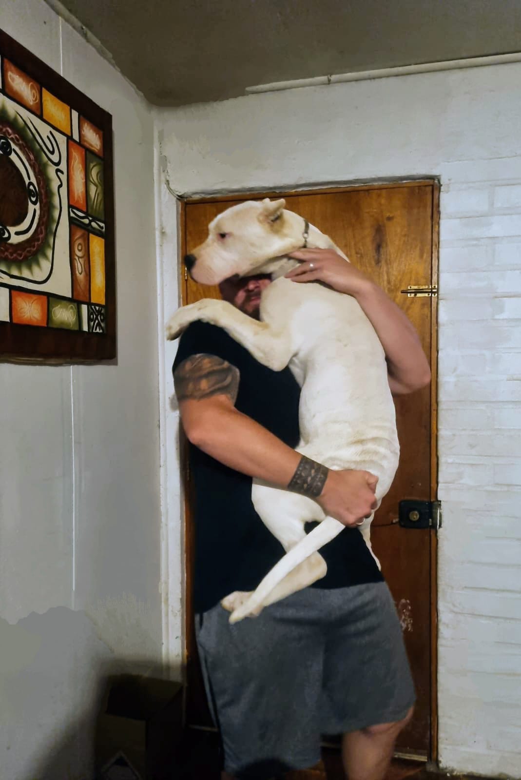 Criadero Del Imponente RA — Doberman y Dogo Argentino conviviendo