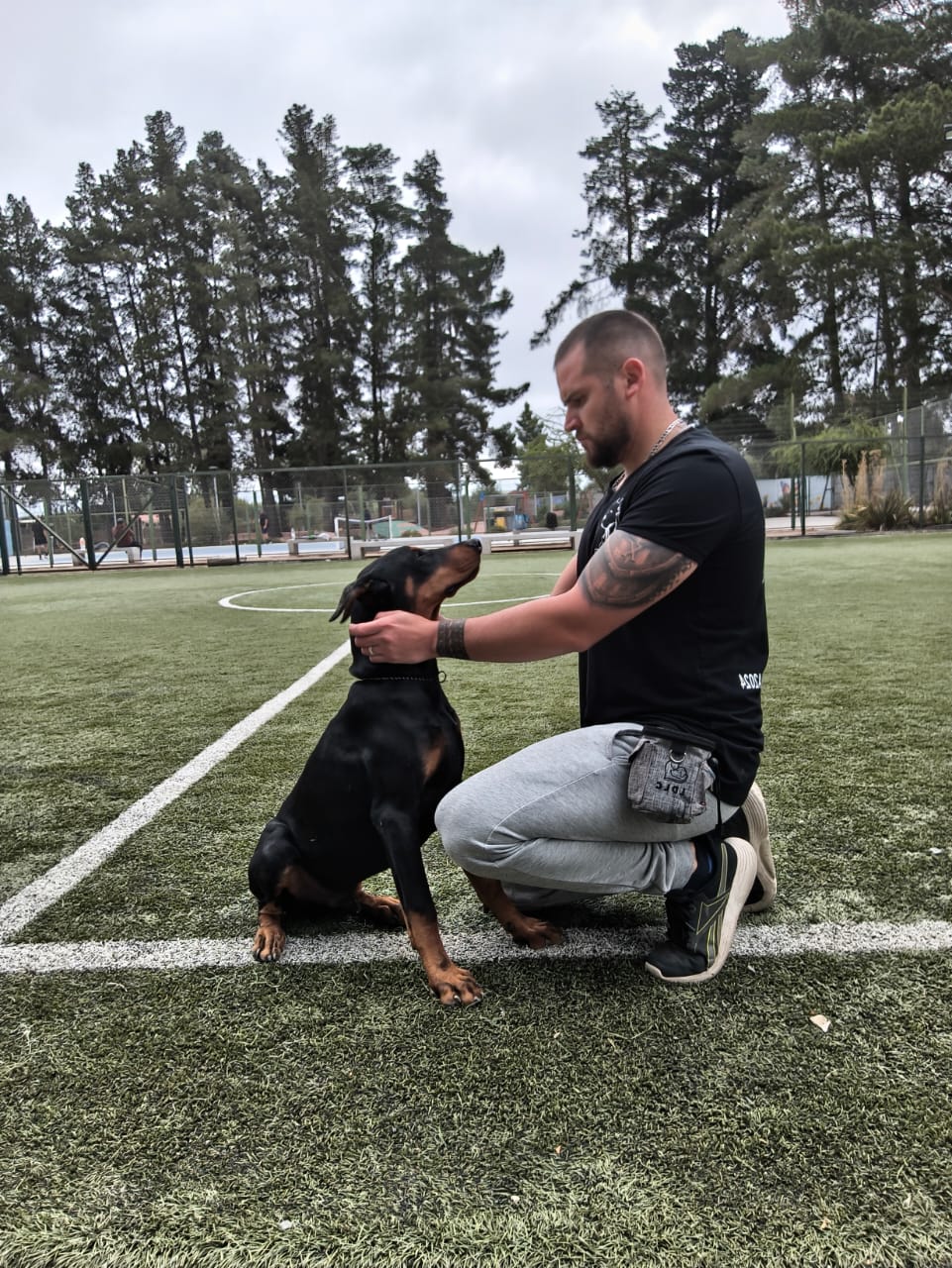 Mascotas Doberman y Dogo Argentino — Criadero Del Imponente RA